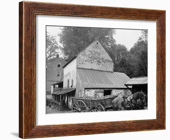 A Farm Yard, Germantown, Pa.-null-Framed Photo