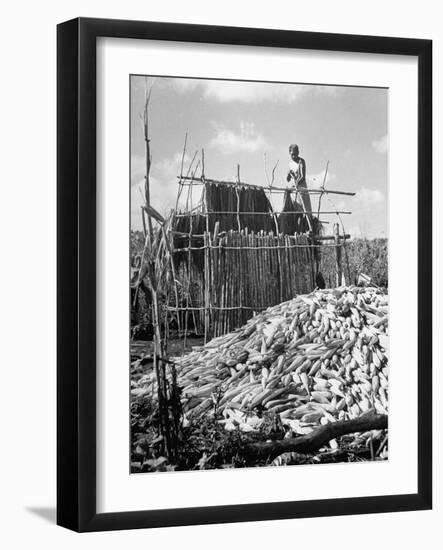 A Farmer Building a Hut in Which to Store Corn-null-Framed Photographic Print