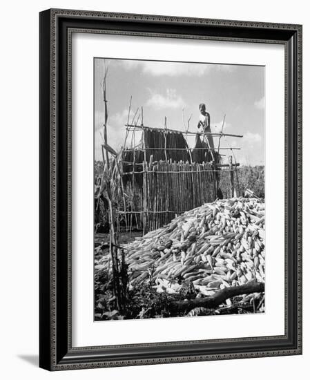 A Farmer Building a Hut in Which to Store Corn-null-Framed Photographic Print