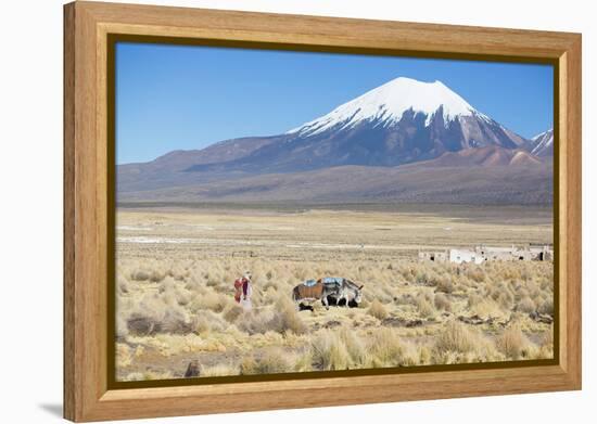 A Farmer Crosses a Landscape Below a Volcano in Sajama National Park-Alex Saberi-Framed Premier Image Canvas