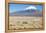 A Farmer Crosses a Landscape Below a Volcano in Sajama National Park-Alex Saberi-Framed Premier Image Canvas