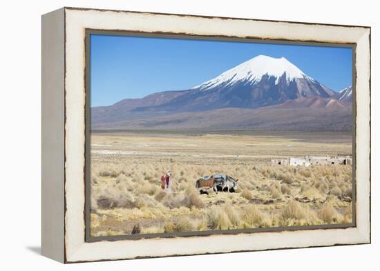 A Farmer Crosses a Landscape Below a Volcano in Sajama National Park-Alex Saberi-Framed Premier Image Canvas