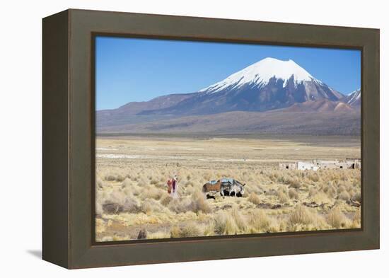 A Farmer Crosses a Landscape Below a Volcano in Sajama National Park-Alex Saberi-Framed Premier Image Canvas