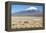 A Farmer Crosses a Landscape Below a Volcano in Sajama National Park-Alex Saberi-Framed Premier Image Canvas