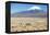 A Farmer Crosses a Landscape Below a Volcano in Sajama National Park-Alex Saberi-Framed Premier Image Canvas