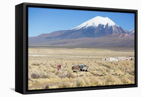 A Farmer Crosses a Landscape Below a Volcano in Sajama National Park-Alex Saberi-Framed Premier Image Canvas