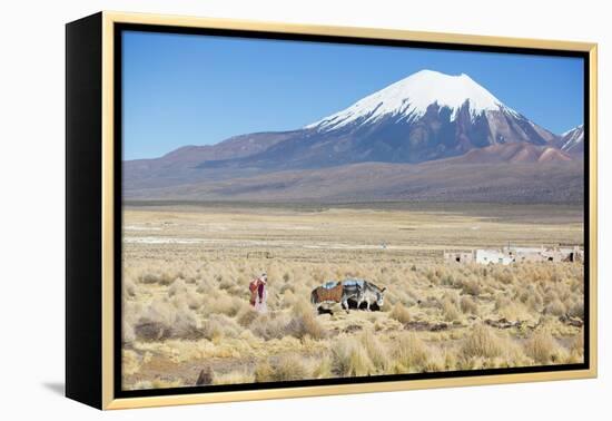 A Farmer Crosses a Landscape Below a Volcano in Sajama National Park-Alex Saberi-Framed Premier Image Canvas