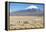 A Farmer Crosses a Landscape Below a Volcano in Sajama National Park-Alex Saberi-Framed Premier Image Canvas