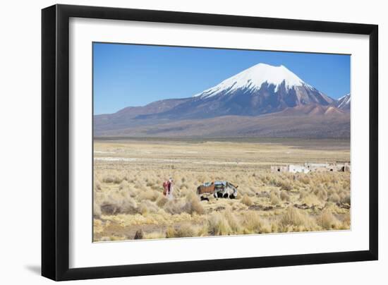 A Farmer Crosses a Landscape Below a Volcano in Sajama National Park-Alex Saberi-Framed Photographic Print