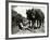 A Farmer Takes a Break with His 2 Horses after Ploughing His Field, 1934-null-Framed Photographic Print