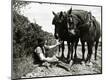 Photographic Print