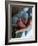 A Father Holding His Baby's Feet-Mitch Diamond-Framed Photographic Print