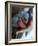 A Father Holding His Baby's Feet-Mitch Diamond-Framed Photographic Print