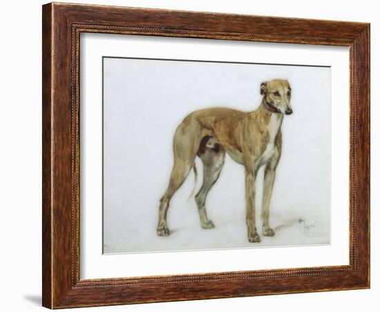 A Fawn Greyhound, 1897-Cecil Aldin-Framed Giclee Print