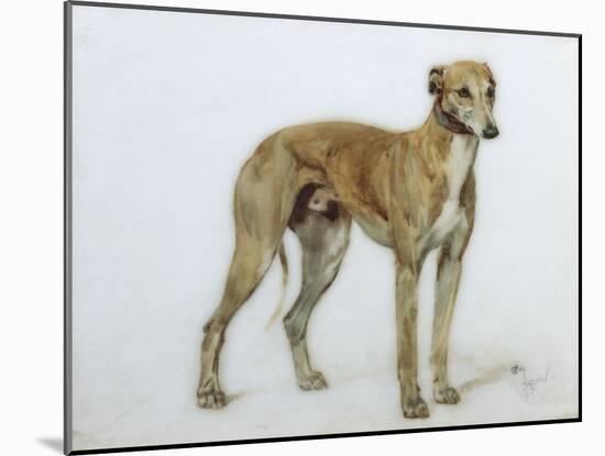 A Fawn Greyhound, 1897-Cecil Aldin-Mounted Giclee Print