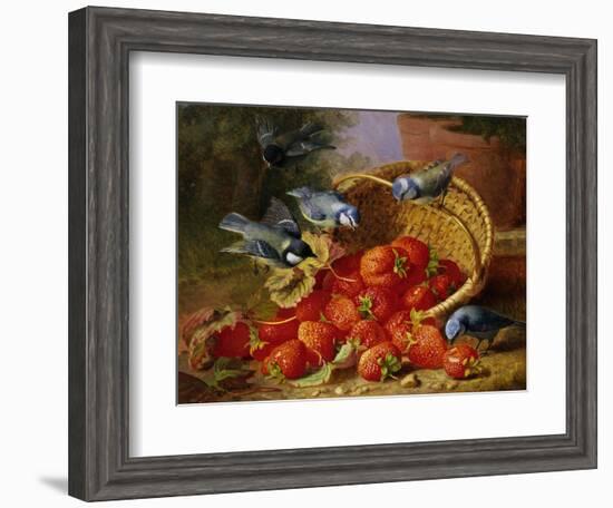 A Feast of Strawberries (Blue Tits) by Eloise Harriet Stannard-Eloise Harriet Stannard-Framed Giclee Print