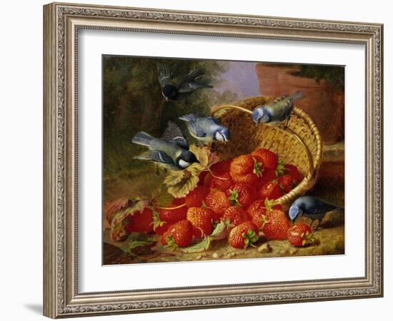 A Feast of Strawberries (Blue Tits) by Eloise Harriet Stannard-Eloise Harriet Stannard-Framed Giclee Print