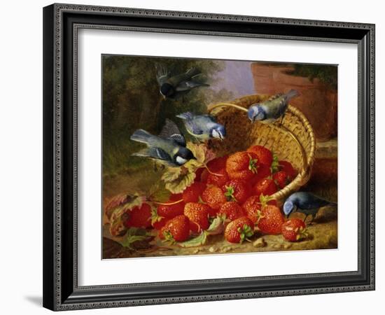 A Feast of Strawberries (Blue Tits) by Eloise Harriet Stannard-Eloise Harriet Stannard-Framed Giclee Print