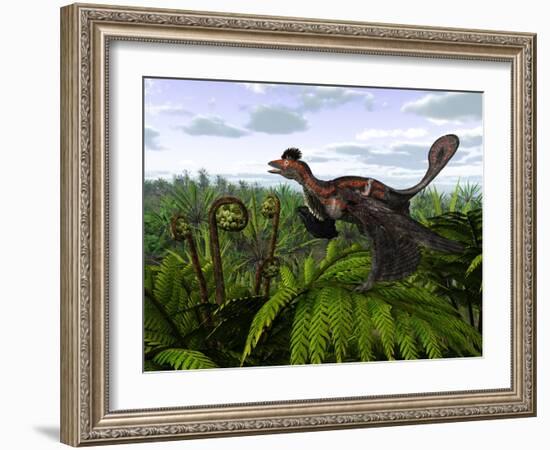 A Feathered Microraptor Perched Atop a Tree Fern-Stocktrek Images-Framed Photographic Print