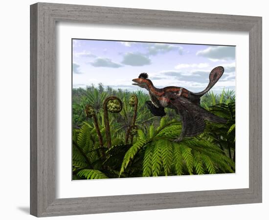 A Feathered Microraptor Perched Atop a Tree Fern-Stocktrek Images-Framed Photographic Print