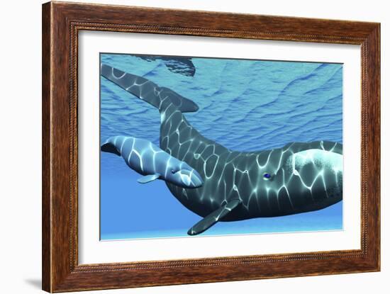 A Female Bowhead Whale Swims with Her Calf Through Ocean Waters-null-Framed Art Print