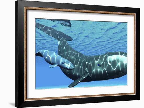 A Female Bowhead Whale Swims with Her Calf Through Ocean Waters-null-Framed Art Print