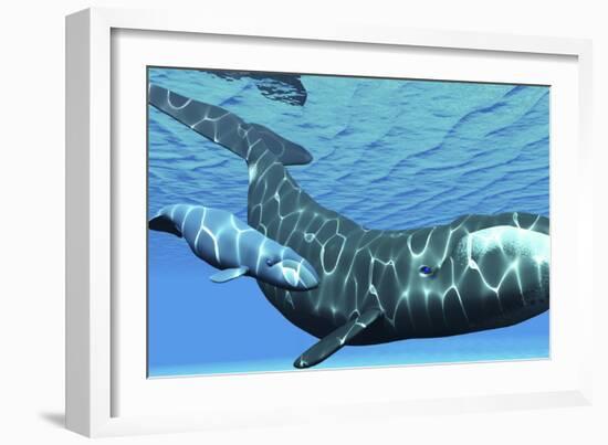 A Female Bowhead Whale Swims with Her Calf Through Ocean Waters-null-Framed Art Print