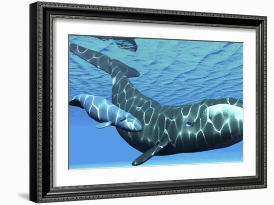 A Female Bowhead Whale Swims with Her Calf Through Ocean Waters-null-Framed Art Print