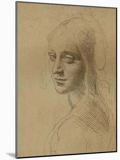 A Female Head, C1472-C1519 (1883)-Leonardo da Vinci-Mounted Giclee Print