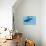 A Female Humpback Whale Swims with Her Calf Through Ocean Waters-null-Premium Giclee Print displayed on a wall