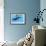 A Female Humpback Whale Swims with Her Calf Through Ocean Waters-null-Framed Premium Giclee Print displayed on a wall