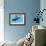 A Female Humpback Whale Swims with Her Calf Through Ocean Waters-null-Framed Premium Giclee Print displayed on a wall