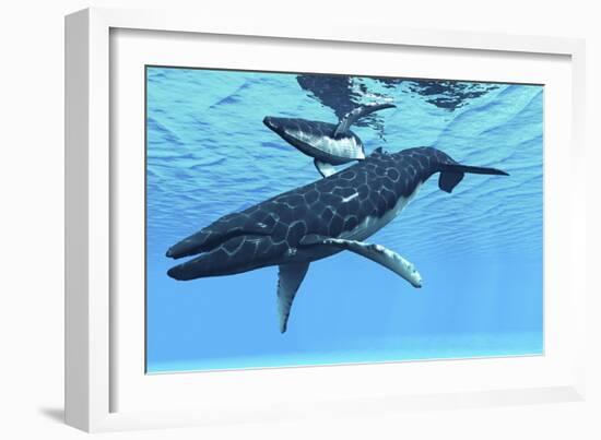 A Female Humpback Whale Swims with Her Calf Through Ocean Waters-null-Framed Art Print