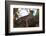 A female leopard on a large tree branch looking at the camera. Okavango Delta, Botswana.-Sergio Pitamitz-Framed Photographic Print