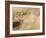 A Female Leopard Stalking Her Prey in Blurred Motion.-Karine Aigner-Framed Photographic Print