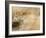 A Female Leopard Stalking Her Prey in Blurred Motion.-Karine Aigner-Framed Photographic Print