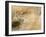 A Female Leopard Stalking Her Prey in Blurred Motion.-Karine Aigner-Framed Photographic Print