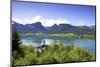 A Ferry Boat on Wolfgangsee Lake, St. Wolfgang, Austria, Europe,-Neil Farrin-Mounted Photographic Print