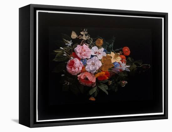 A Festoon of Roses, Honeysuckle, Lilies, Narcissi, Marigold, a Snake’S Head Fritillary, 17Th Centur-Nicolaes van Veerendael-Framed Premier Image Canvas