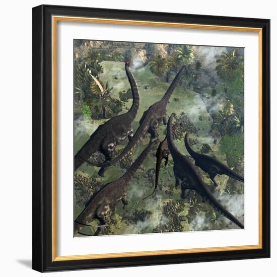 A Few Apatosaurus Join the Moving Herd-Stocktrek Images-Framed Art Print