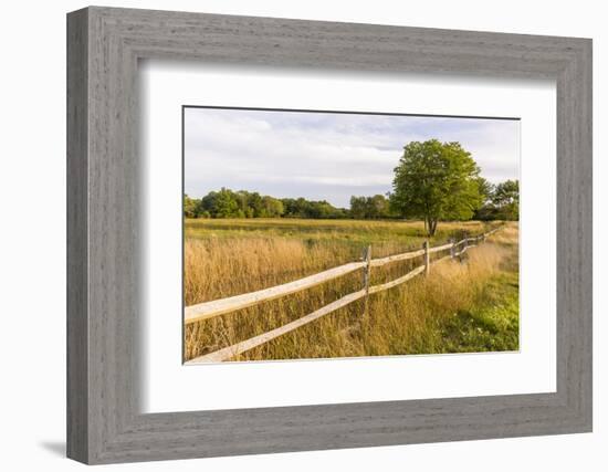 A field in Ipswich, Massachusetts.-Jerry & Marcy Monkman-Framed Photographic Print