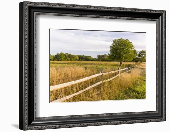 A field in Ipswich, Massachusetts.-Jerry & Marcy Monkman-Framed Photographic Print