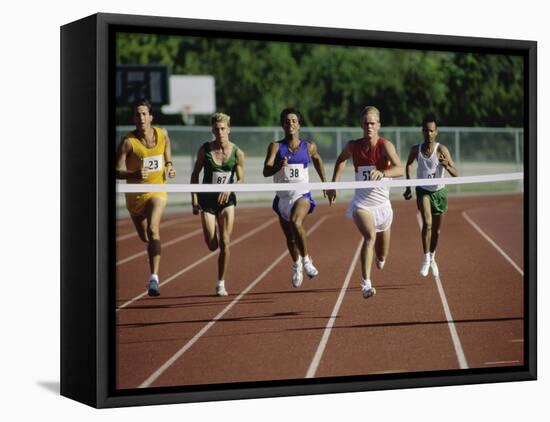 A Field of Five-null-Framed Premier Image Canvas