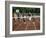 A Field of Five-null-Framed Photographic Print