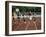 A Field of Five-null-Framed Photographic Print