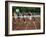 A Field of Five-null-Framed Photographic Print