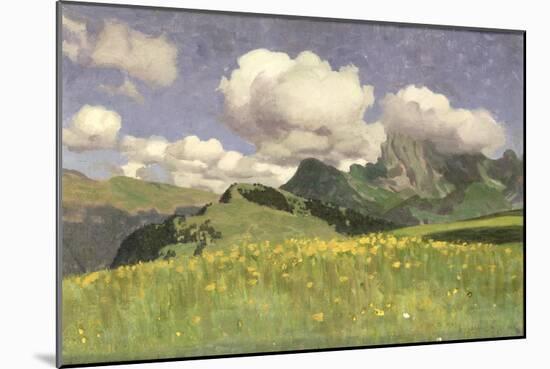 A Field of Marigolds, Lower Alps, 1902-Adrian Scott Stokes-Mounted Giclee Print