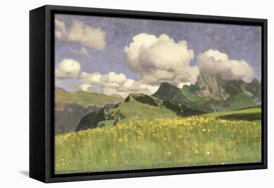 A Field of Marigolds, Lower Alps, 1902-Adrian Scott Stokes-Framed Premier Image Canvas