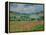 A Field of Poppies-Claude Monet-Framed Premier Image Canvas