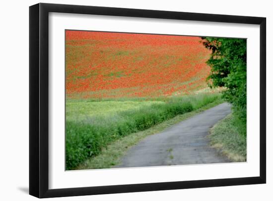 A Field of Red Poppy Flowers-Frank May-Framed Photo